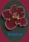 arcturus.jpg (5686 bytes)
