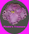 pirate's treasure.jpg (10461 bytes)
