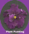 plum pudding.jpg (8565 bytes)